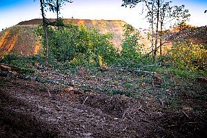 Lot clearing for subdivisions, business parks or single-family residential lots