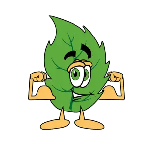 A New Leaf Tree Service