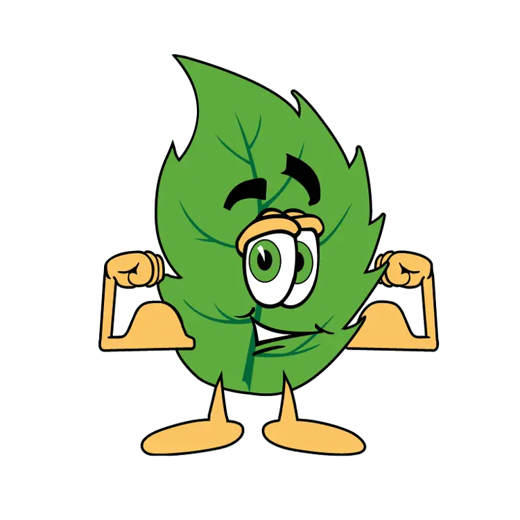 A New Leaf Tree Service