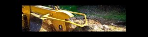 Stump-Grinding-1-1200X300