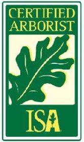 Isa Certified Arborist 300 E1688152212754