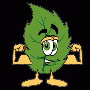 Cropped Leaf Guy Anlts Icon Transparent 750X750 1