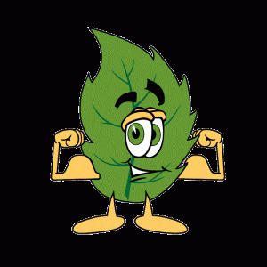 Leaf Guy Anlts Icon Transparent 750X750 1