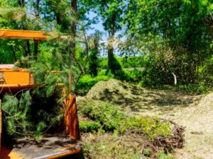 Land-Clearing-Debris-Bulldozer