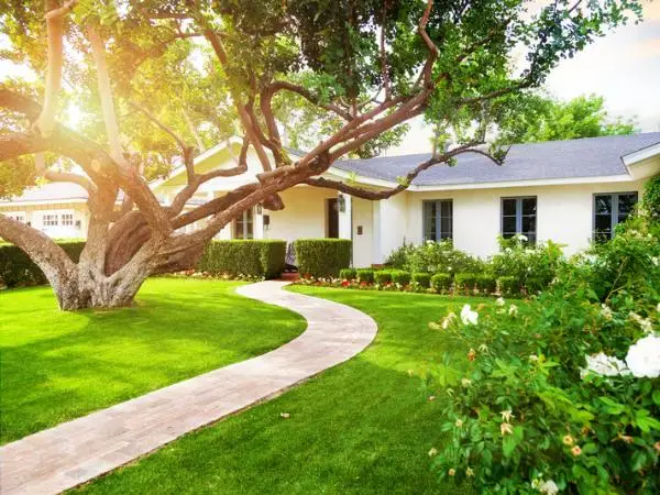 landscape-front-yard-house-path