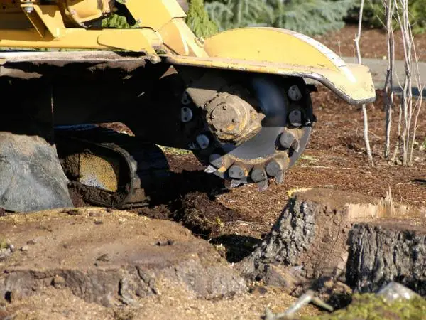 A stump grinder.