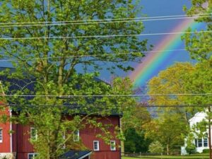 Tree-Farmhouse-Blue-Sky-After-Storm-Rainbow