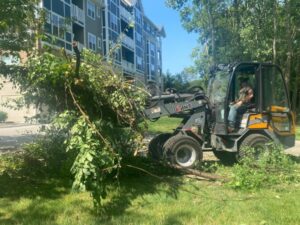 Antls-Tree-Trimming-Cleanup-600X450