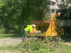 Antls-Tree-Removal-Eco-Practice-Chipper