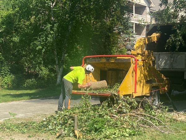 Antls-Tree-Removal-Eco-Practice-Chipper