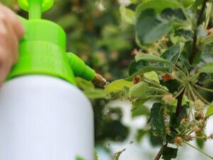 Anlts-Tree-Diseases-Tree-Green-Insect-Sprayer-Branches-600X450-Compressed