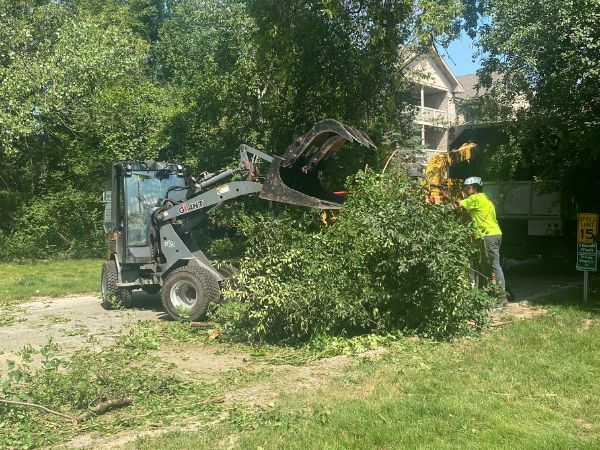 Antls-13000-Tree-Removal-Skid-Branches-Workers-600X450