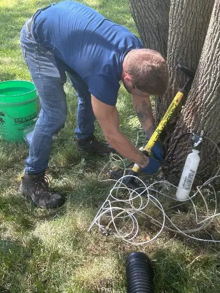 Man performing preventative care on a tree, Brookfield, WI.