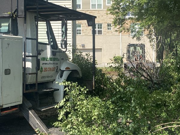 Tree Removal Service Bucket Truck Commercial Brookfield