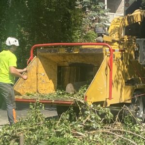 Tree Removal Service Chipper Commercial Brookfield 1