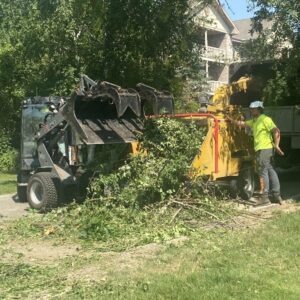 Tree Removal Service Chipper Commercial Brookfield 2