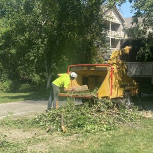 Tree Removal Service Chipper Commercial Brookfield 3