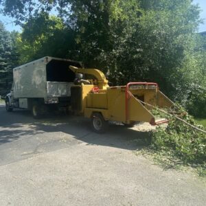 Tree Removal Service Chipper Commercial Waukesha