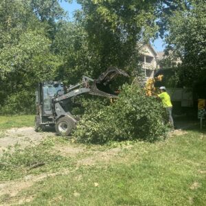 Tree Removal Service Chipper Skid Loader Commercial Brookfield 1