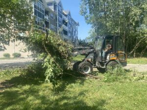 Tree Removal Service Skid Loader Commercial Brookfield 1