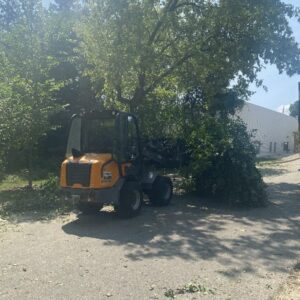 Tree Removal Service Skid Loader Commercial Waukesha 1