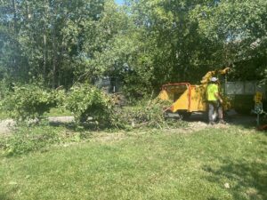 Tree Removal Service Skid Loader Commercial Waukesha 2