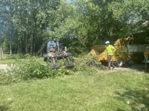 Tree Removal Service Skid Loader Commercial Waukesha 3 1