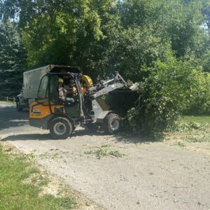 Tree Removal Service Skid Loader Commercial Waukesha 4 1