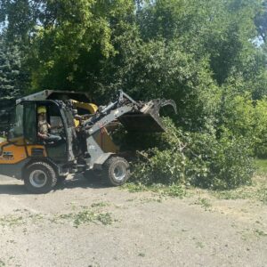 Tree Removal Service Skid Loader Commercial Waukesha 5 1