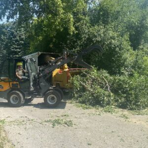 Tree Removal Service Skid Loader Commercial Waukesha 6 1