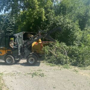 Tree Removal Service Skid Loader Commercial Waukesha 6