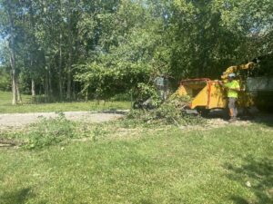 Tree Removal Service Skid Loader Commercial Waukesha 7