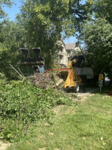 Tree Removal Service Skid Loader Commercial Waukesha Tall 1