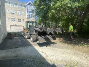 Tree Removal Service Skid Loader Crew Commercial Brookfield 1 1