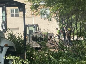 Tree Removal Service Skid Loader Crew Commercial Brookfield 2 1