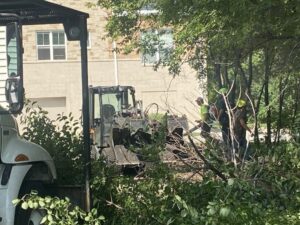 Tree Removal Service Skid Loader Crew Commercial Brookfield 2