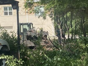 Tree Removal Service Skid Loader Crew Commercial Brookfield 3