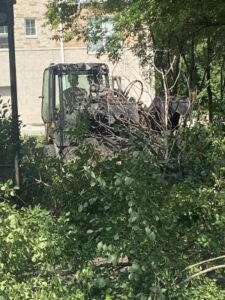 Tree Removal Service Skid Loader Crew Commercial Brookfield 4 1