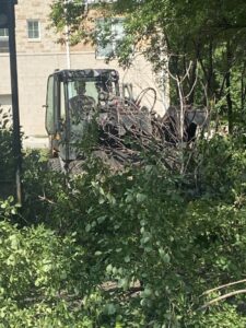 Tree Removal Service Skid Loader Crew Commercial Brookfield 4