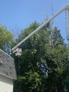 Tree Trimming Service Bucket Truck Commercial Elm Grove 1