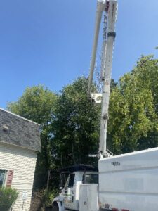 Tree Trimming Service Bucket Truck Commercial Elm Grove 2 1