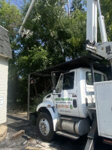 Tree Trimming Service Bucket Truck Commercial Elm Grove 3