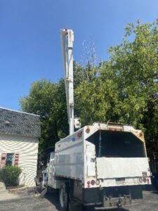 Tree Trimming Service Bucket Truck Commercial Elm Grove 4 1