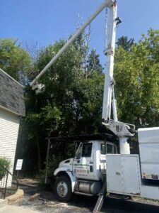 Tree Trimming Service Bucket Truck Commercial Elm Grove 5 1