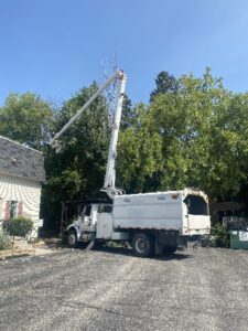 Tree Trimming Service Bucket Truck Commercial Elm Grove 6 1