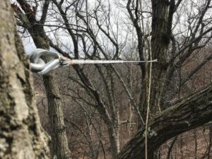 Tree Cabling Support System, Germantown, Wi.