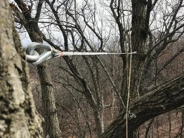 tree cabling support system, Germantown, WI.