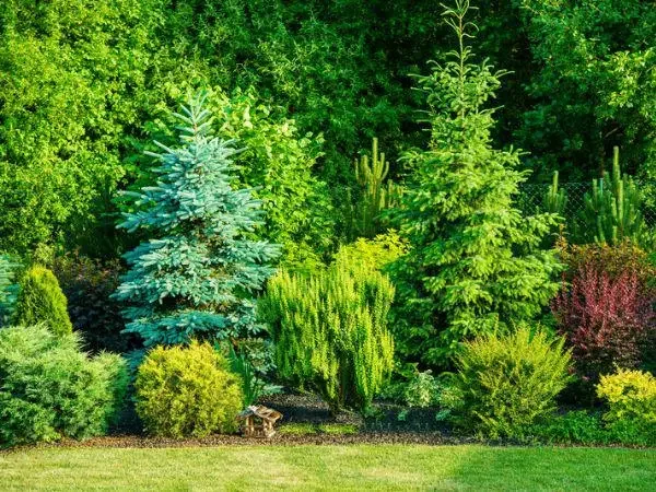 ANTLS-insect-infestation-colorful-landscape-600x450-compressed