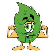 cropped-leaf-guy-anlts-icon-transparent-750x750-copy.png