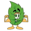 cropped-leaf-guy-anlts-icon-transparent-750x750-copy.png